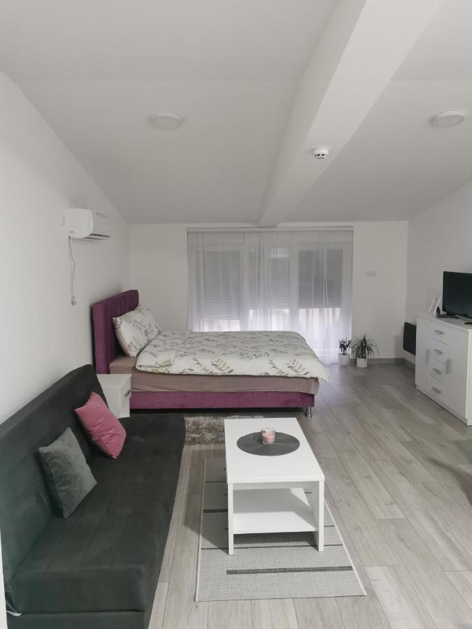 Studio Apartmani Баня-Ковиляча Экстерьер фото