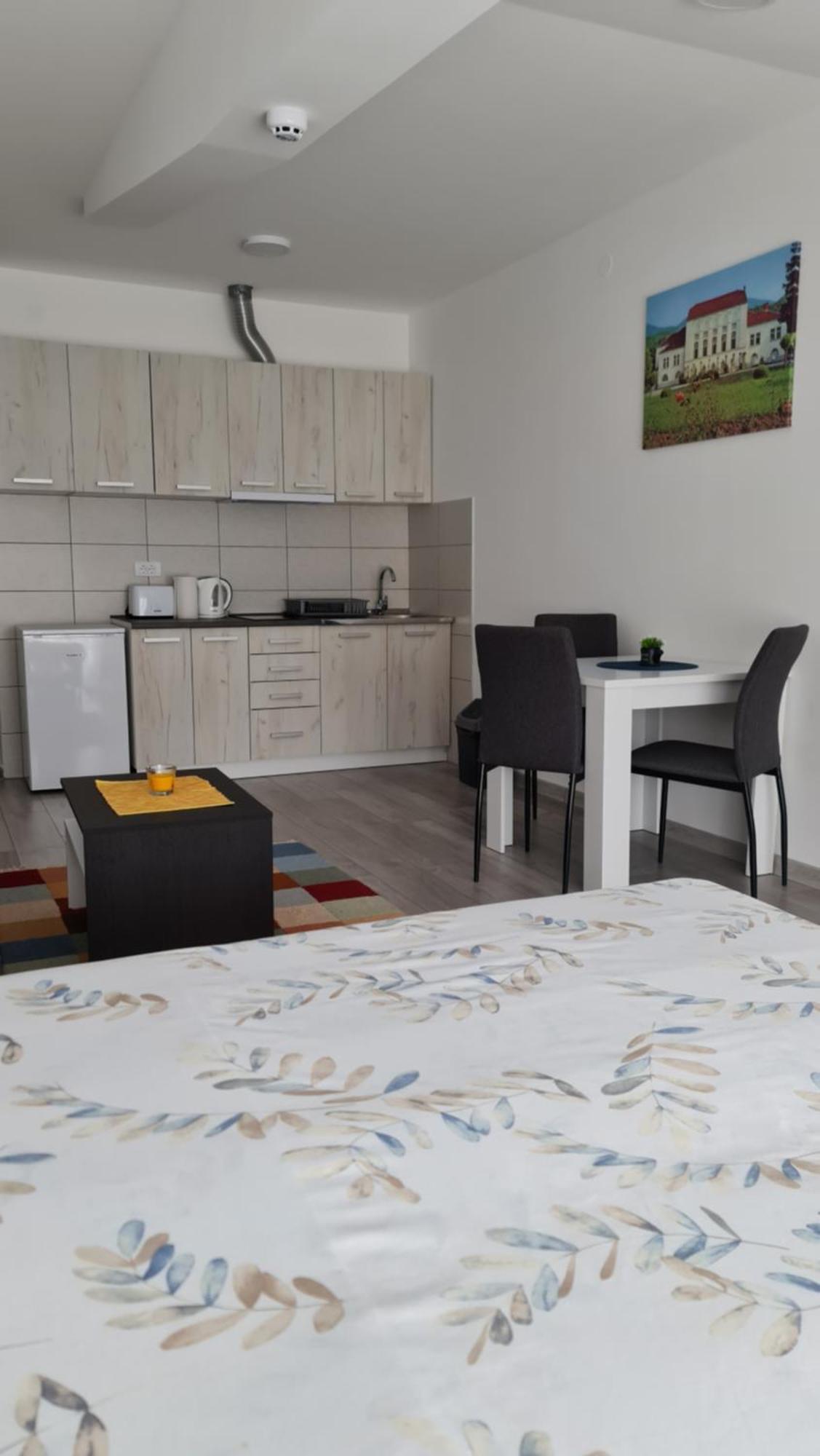 Studio Apartmani Баня-Ковиляча Экстерьер фото