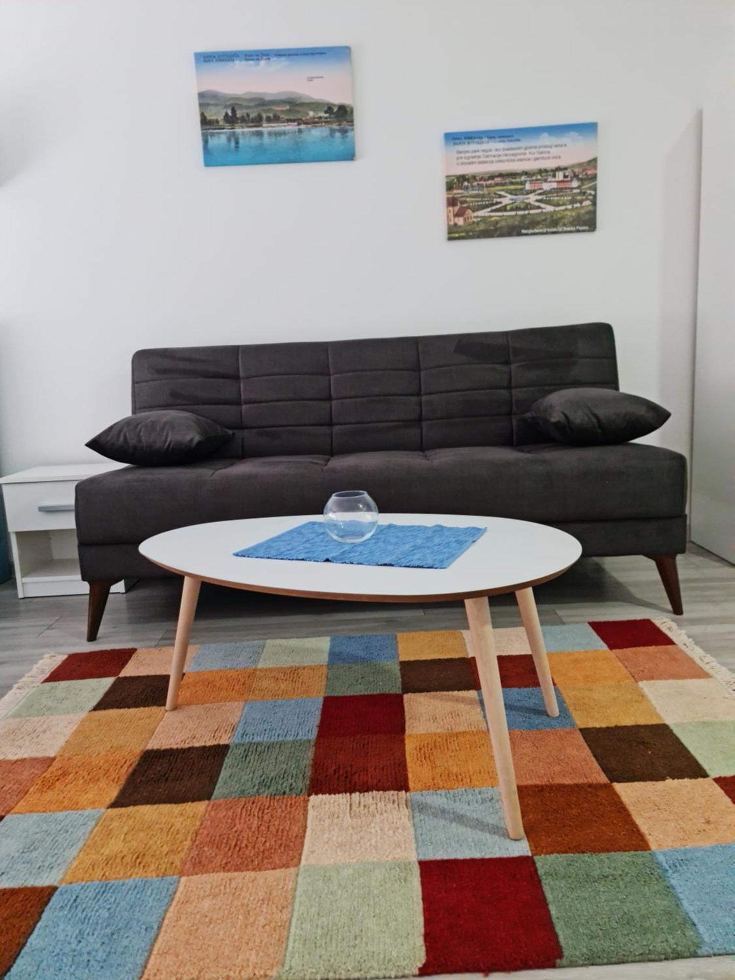 Studio Apartmani Баня-Ковиляча Номер фото